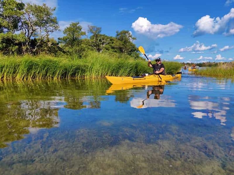 Archipel de Stockholm : journée de kayak avec déjeuner sur une île