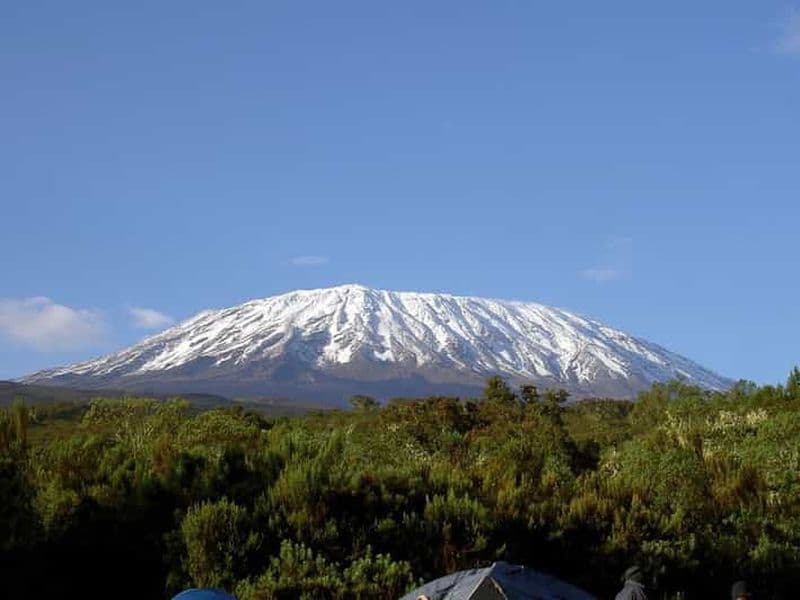 Billet Excursion d'une journée dans le parc national du Mont Kilimandjaro