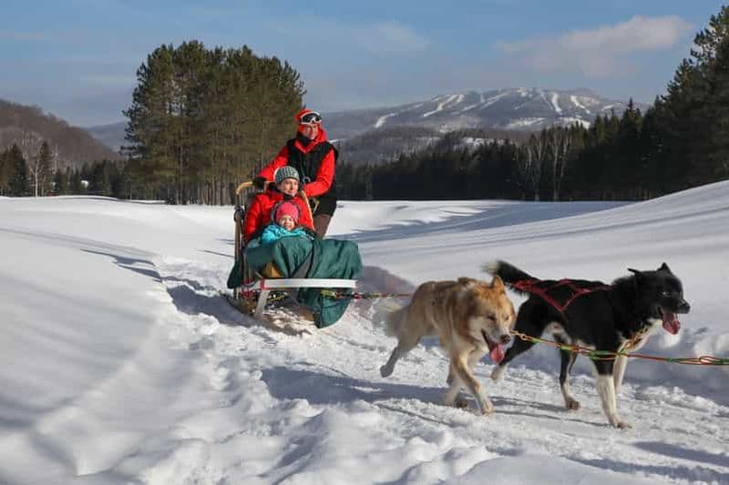 Mont-Tremblant : visite guidée en traîneau à chiens avec chocolat chaud