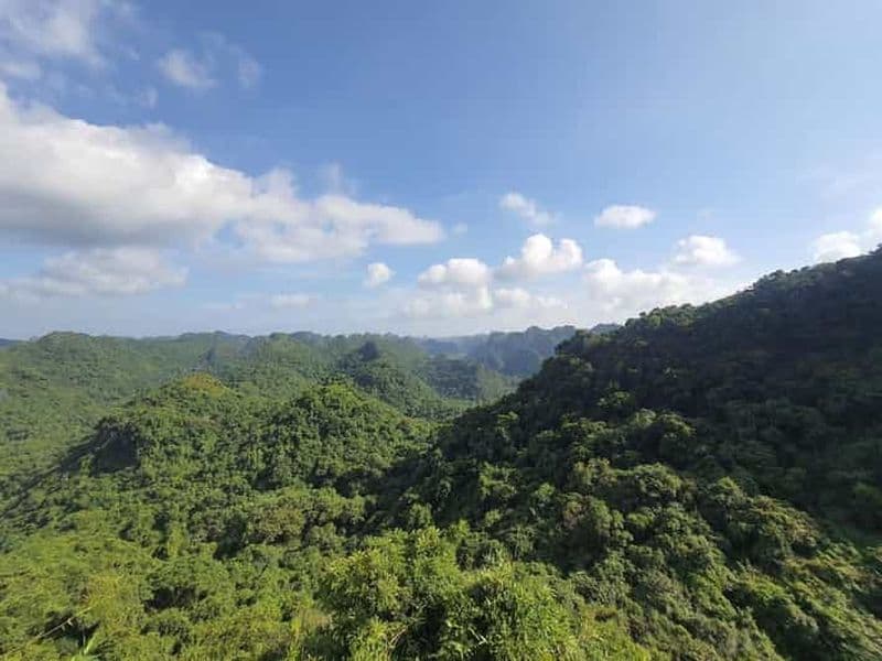Billet Demi-journée de randonnée dans le parc national de Cat Ba avec un guide