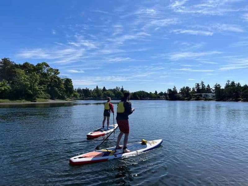 Victoria : Initiation au Stand Up Paddle Boarding au lac Thetis