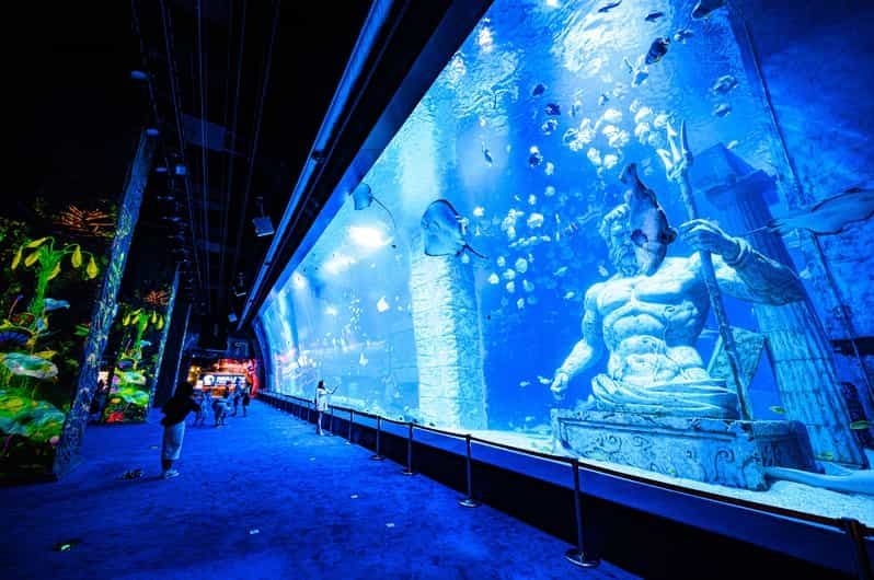 Guangzhou : Musée des sciences naturelles Grandview Billet