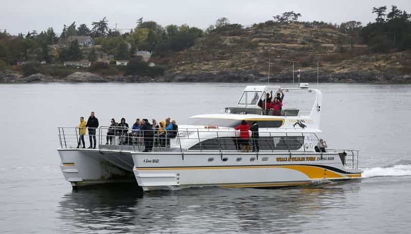Victoria : croisière guidée d'observation des baleines et de la vie sauvage