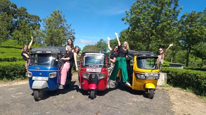 Safari en tuk-tuk, siège des Liptons, randonnée dans les champs de thé, visite de la fabrique de thé