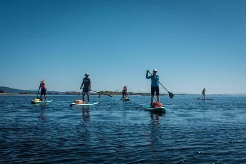 Victoria, BC : Apprenez à faire du SUP et faites du tourisme