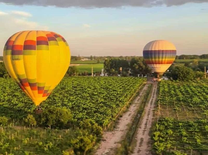 Vol en montgolfière au-dessus des vignobles de Mendoza et toast au vin