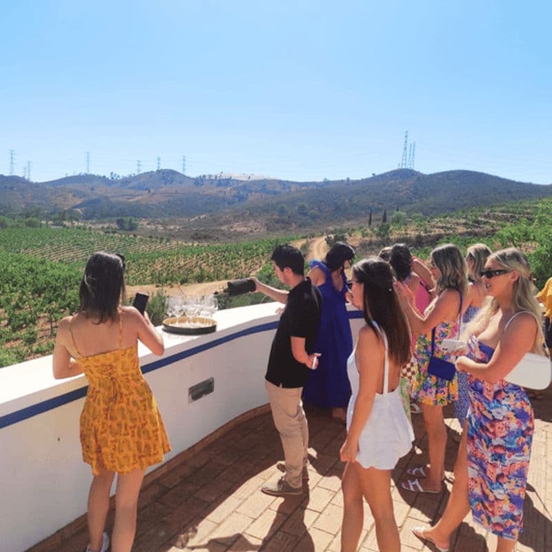 Algarve : Visite des vignobles et découverte de Lagos