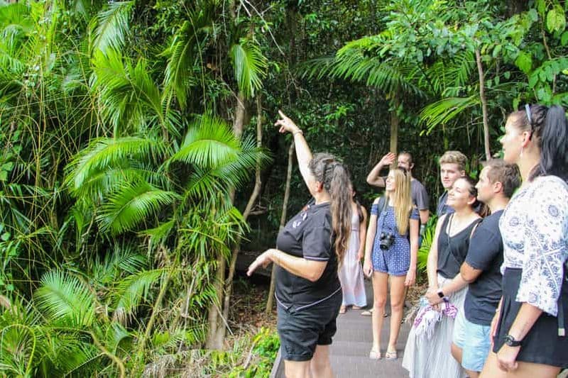 Billet Depuis Cairns : visite en bus de la région sauvage de Daintree et du cap Tribulation