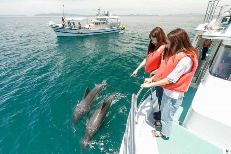 Mascate : Observation des dauphins et plongée en apnée