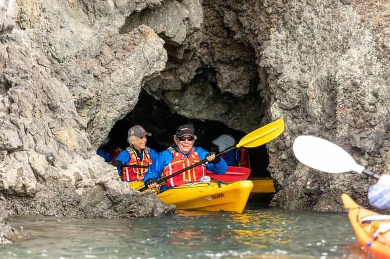 Lyttelton : Excursion à terre, Kayak de mer, Visite en petit groupe