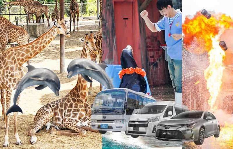 Safari + parc marin + marché de Bangkok : Affrètement d'une voiture privée
