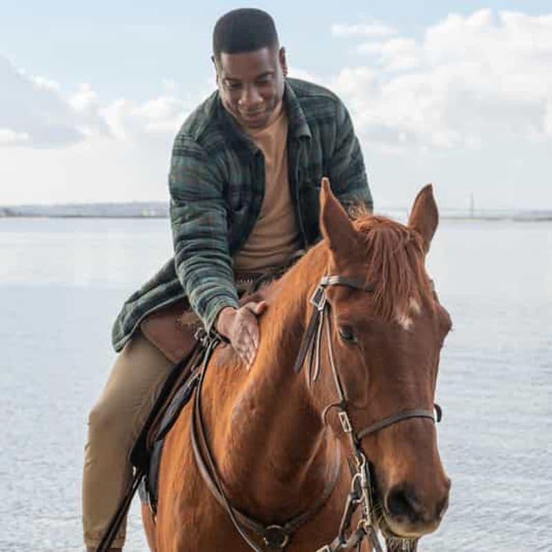 Séance photo avec des chevaux sur la plage ou à la campagne