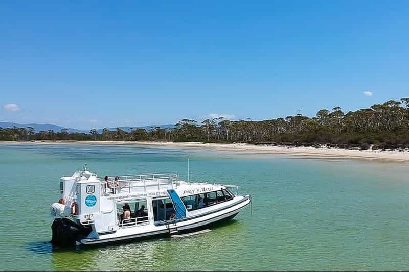 Depuis Hobart : Visite en bus d'une journée à l'île Maria