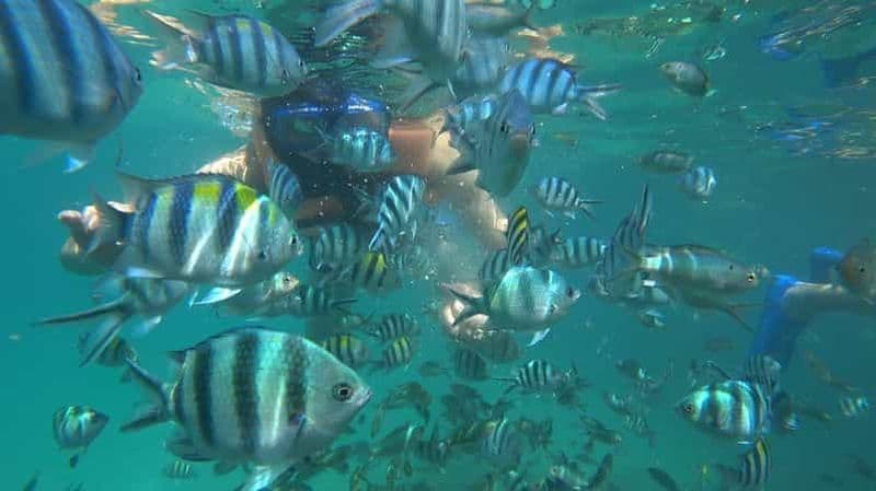 Billet Plongée en apnée Kayak Pêche Natation Activités