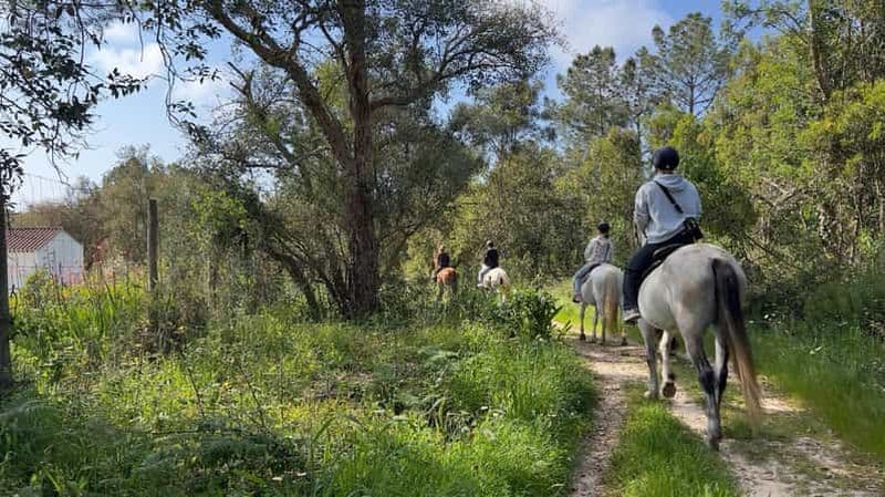 Algarve : balade au coucher du soleil à Aljezur