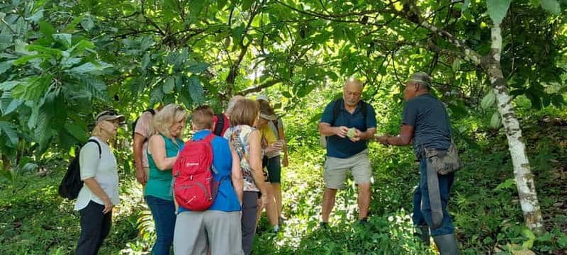 PUNTA GORDA : VISITE DE LA FERME ET DU CHOCOLAT MAYA