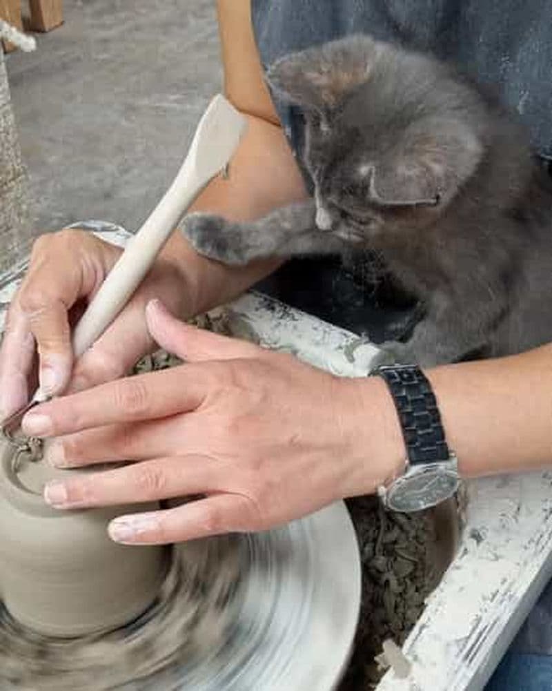 Visite d'une poterie traditionnelle - Depuis Medellin