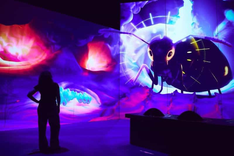 Melbourne : Melbourne Museum Antopia Exhibition Ticket