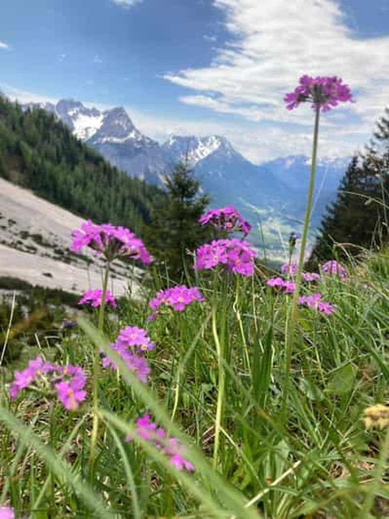 Ehrwald : Randonnée dans une nature à couper le souffle