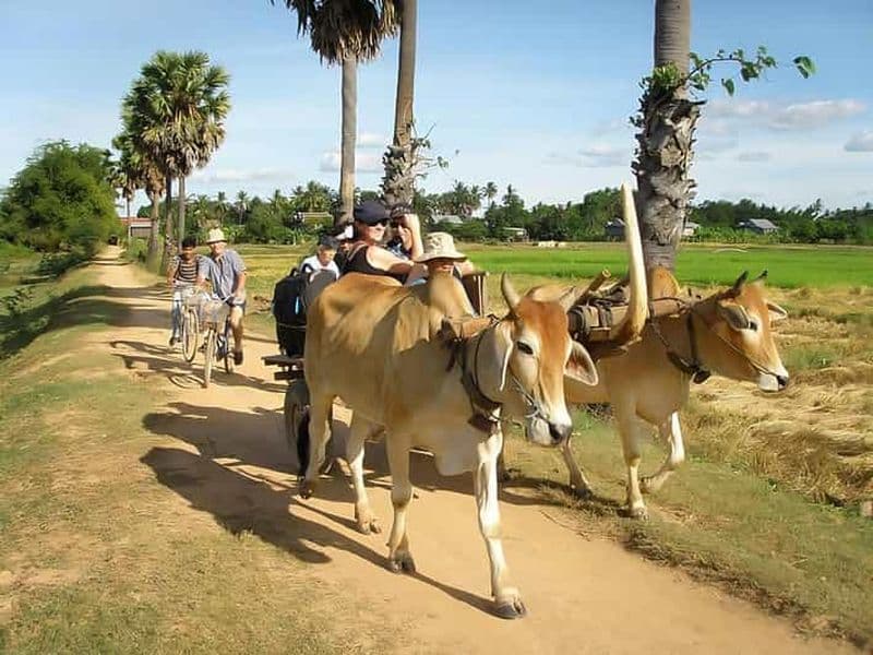 Kratie : aventure d'une journée en kayak et vélo sur l'île de Koh Trong