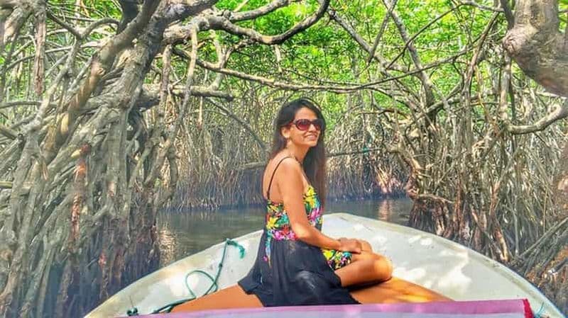 Madu River Boat Safari Tour/Madu Ganga Private Boat Tour
