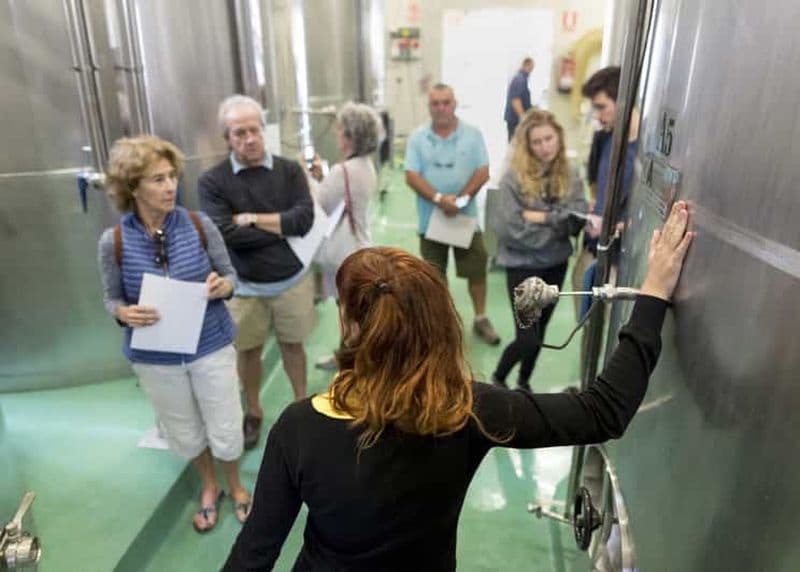 San Bartolomé : Visite et dégustation du vignoble Bodegas El Grifo
