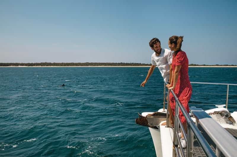 Sydney : Port Stephens : excursion d'une journée pour observer les dauphins et les dunes de sable