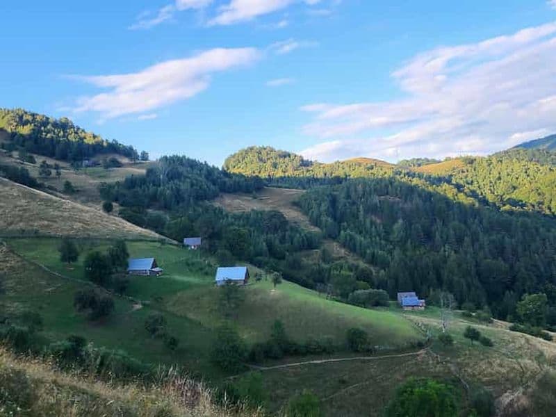 Sibiu : Randonnée dans les monts Cindrel avec brunch traditionnel