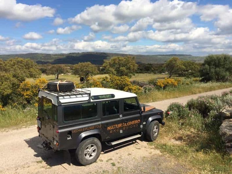 Alghero : Nature, culture et panoramas à couper le souffle en jeep