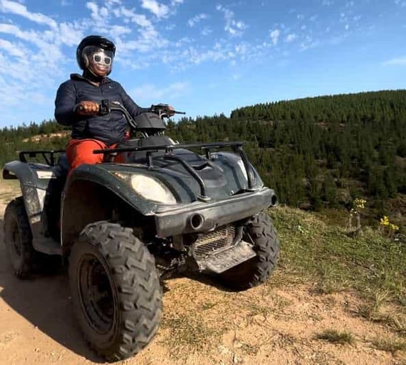 Knysna : Visite guidée en quad dans la forêt