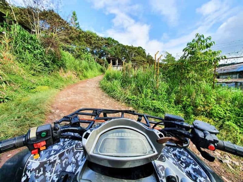 Krabi : 1 heure d'aventure en quad dans une nature magnifique