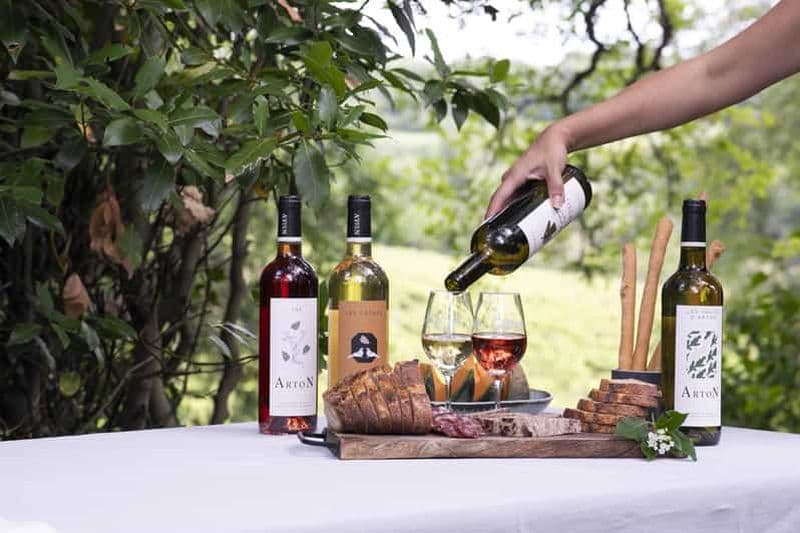 Billet Visite et dégustation du vignoble du Château Arton