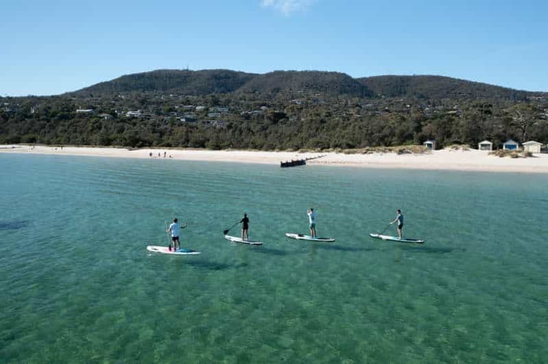 Mornington Peninsula : Excursion en SUP, randonnée et sources thermales avec déjeuner