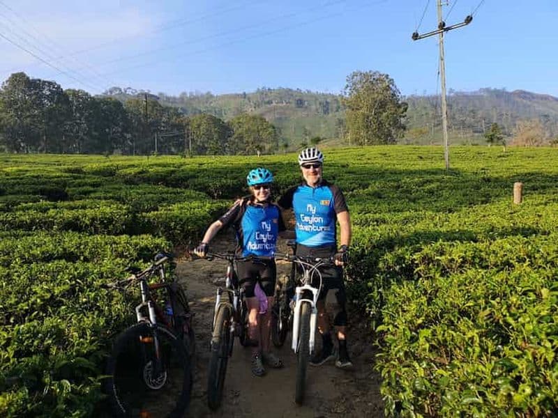 VTT autour des sentiers du thé à Kandy