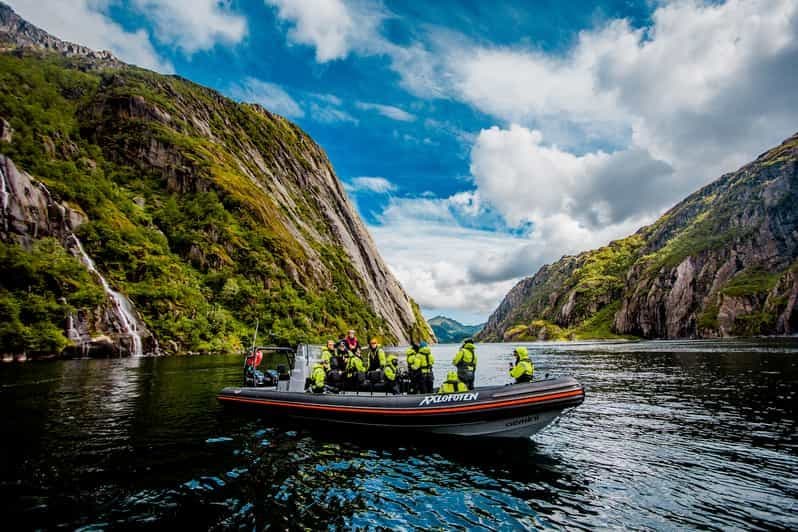 Au départ de Svolvaer : Safari aigle de mer à Trollfjord
