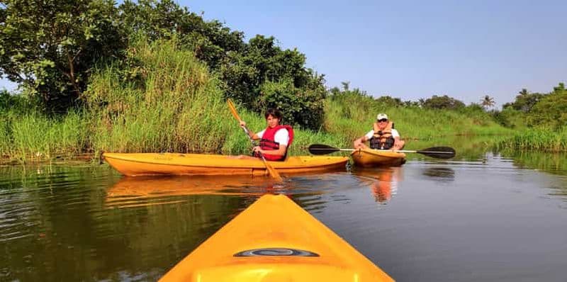 Kayak à Goa : expérience en kayak dans les eaux calmes et la mangrove