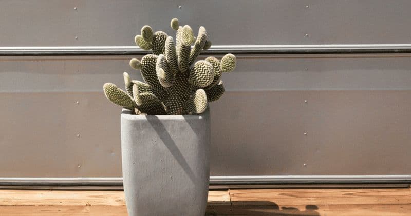 2D-Plateaux salés d'Ayuni avec billets d'avion et camping-car de luxe