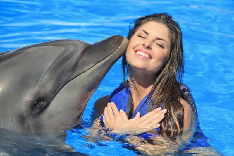 Cabo San Lucas : Expérience d'une journée avec un dresseur de dauphins