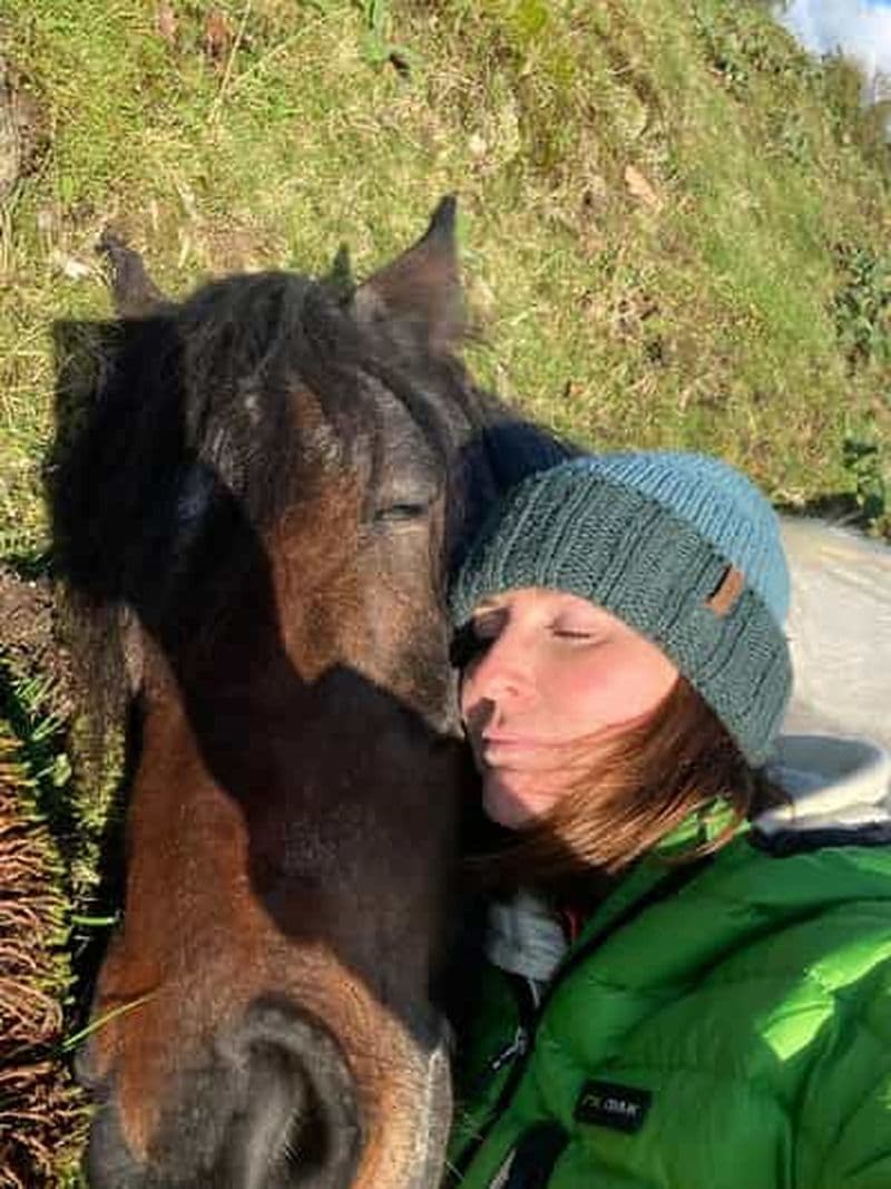 Méditer avec des chevaux lourds dans la région des lacs