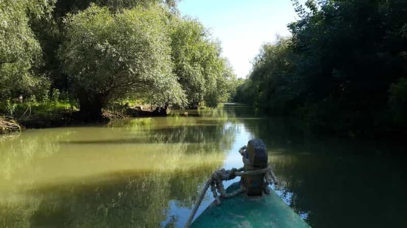 Au départ de Bucarest : Visite privée de 3 jours pour l'observation des oiseaux dans le delta du Danube