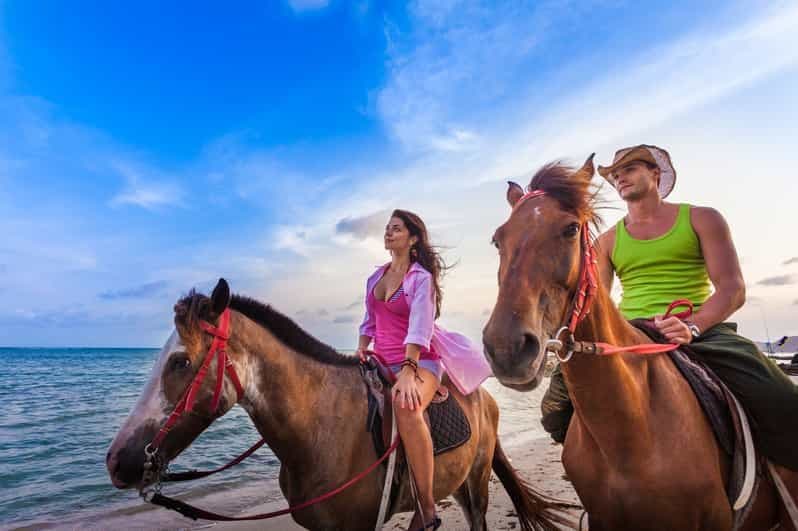 Agadir : randonnée à cheval, visite de la rivière des flamants roses et dégustation de thé
