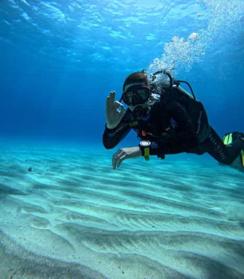 Billet Île de Pâques : plongée récréative-touristique personnalisée