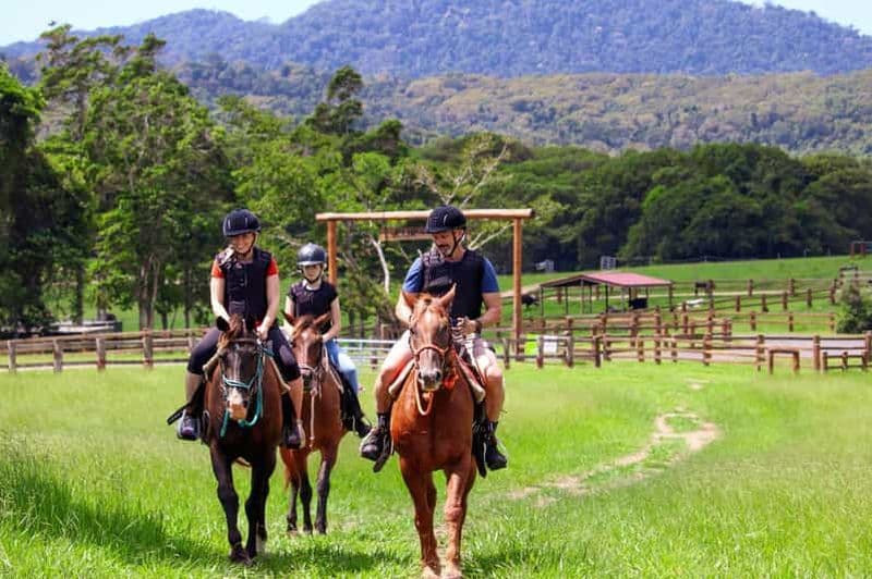 Visite d'une demi-journée à Kuranda avec zoo pour enfants et balade à cheval