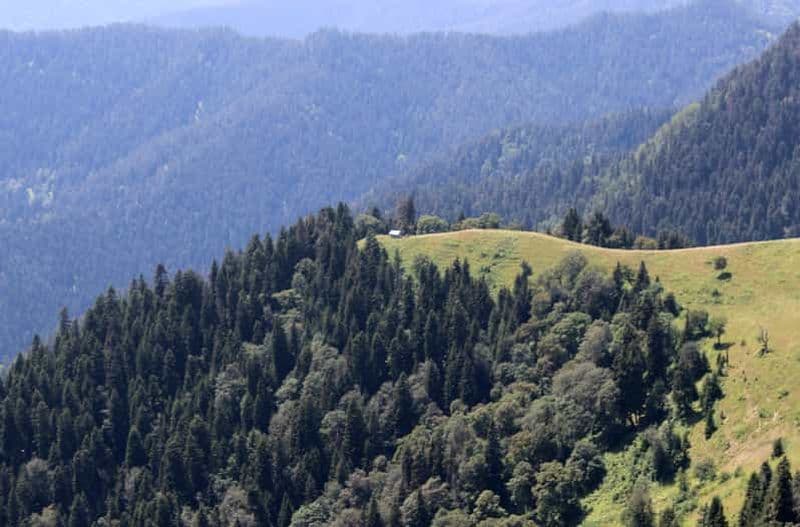 Parc national de Borjomi : randonnée de deux jours - Montagne Lomi