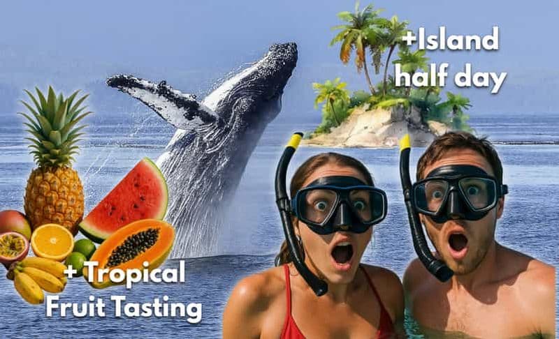 Playa Venao : Observation des baleines + plongée en apnée sur l'île