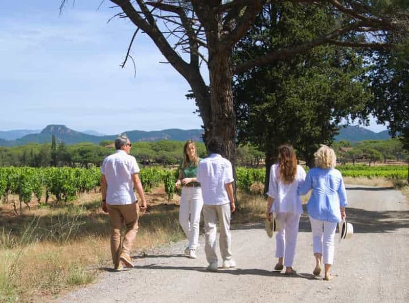 De Fréjus: Excursion en van au cœur du vignoble provençal