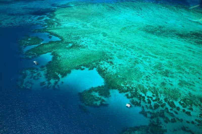 Billet Cairns : Vol panoramique au-dessus de la Grande Barrière de Corail