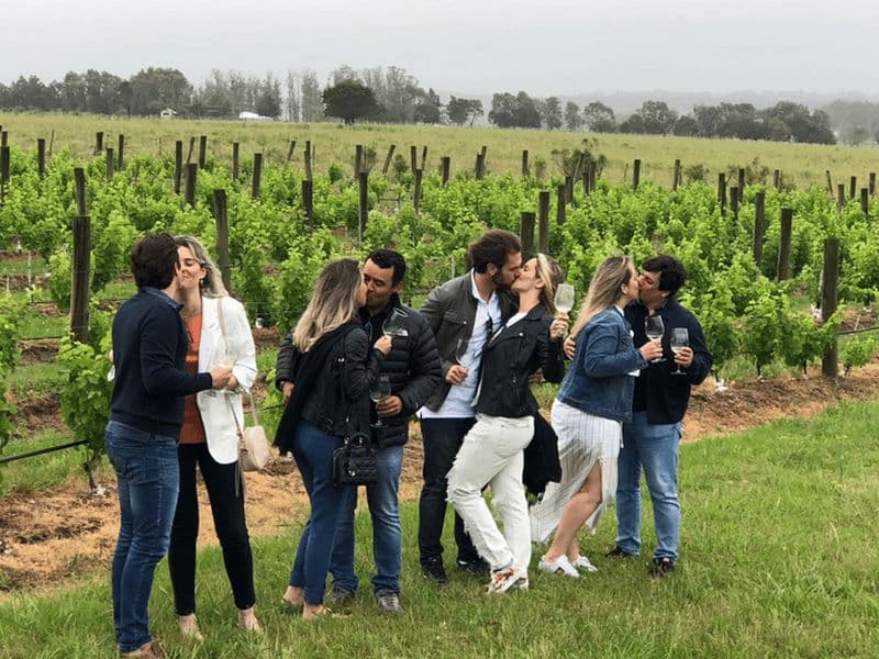San Francisco : Visite d'une demi-journée dans la Napa Valley avec dégustations de vins