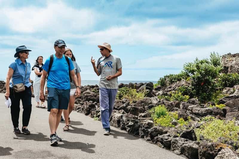 Billet São Miguel Ouest : Visite d'une jounée en van avec déjeuner
