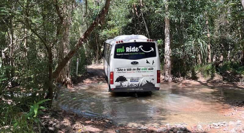 Île magnétique : Visite en bus de l'éco-aventure de la côte ouest